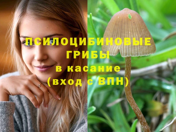 молекула духа Алзамай