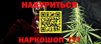 шишки Камышлов