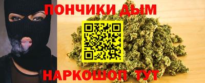 шишки Камышлов
