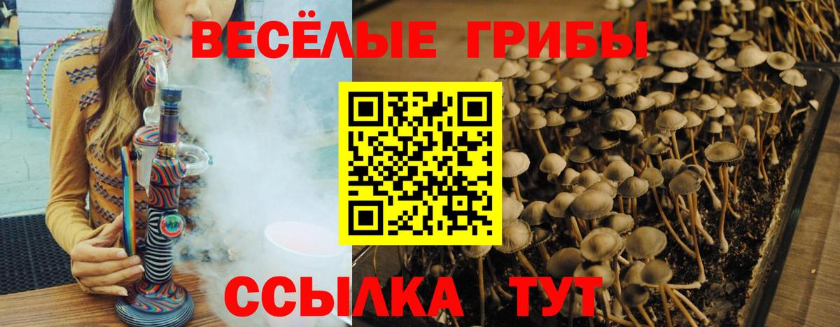 Псилоцибиновые грибы MAGIC MUSHROOMS  наркошоп  Тобольск  Псилоцибиновые грибы ЛСД  Вход с VPN 